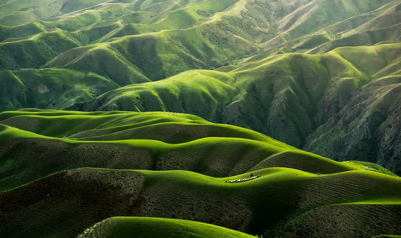 Rolling green hills with natural landscape