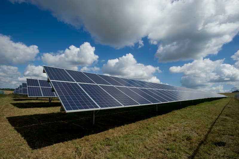 Solar panels installed in an open field